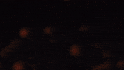yahmanrecords hot music fire boxing GIF