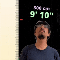 9' 10"