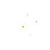 flower leave Sticker