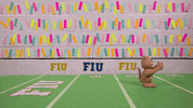 football clay GIF by FIU