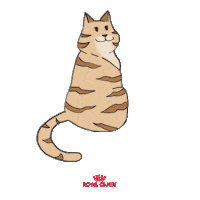 Rcbrasil Sticker by Royal Canin Brasil