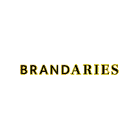 Brandaries marketing agency aries brandaries Sticker