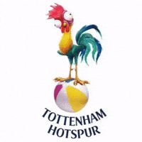 Football Tottenham GIF