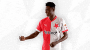 Football Sport GIF by SK Slavia Praha