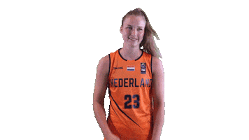 NLbasketball orangelions Sticker