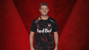 Vbl Rbl GIF by Bundesliga