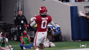 College Football Touchdown GIF by Arkansas Razorbacks