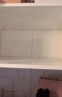 GIF by BuzzFeed