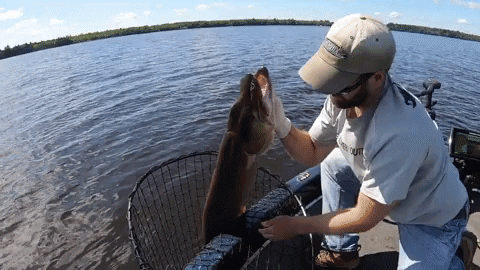 nicklindner giphyupload GIF
