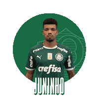 happy soccer Sticker by SE Palmeiras