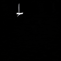 Design D GIF