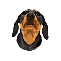 Picklepp Sticker by Pickle's Pawtraits