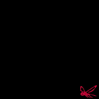 Horse Insect GIF by ZEDAN