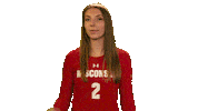 Listen Wisconsin Volleyball Sticker by Wisconsin Badgers