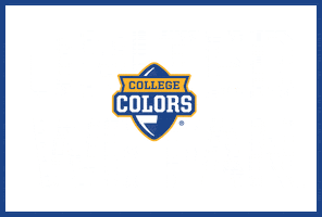 Pitt Panthers Sticker by College Colors Day