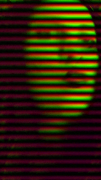 Art Glitch GIF