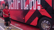sl benfica castillo GIF by Sport Lisboa e Benfica