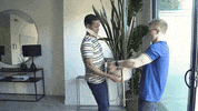 tyleroakley flower youtube house plant GIF