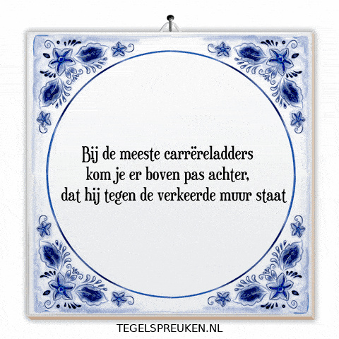 Wijsheid Reflectie GIF by Tegelspreuken.nl