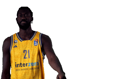 Easycredit Bbl Sticker by ALBA BERLIN