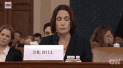 news impeachment impeachment inquiry opening statement fiona hill GIF
