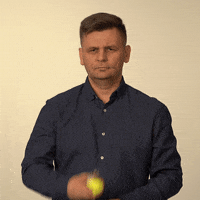 Fricsovszky-Toth Peter GIF by Jobbik Magyarországért Mozgalom