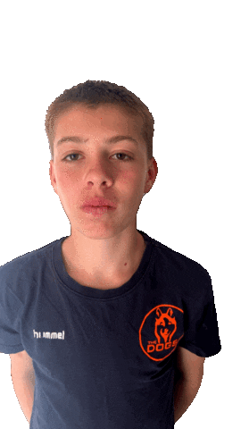 C1 Sticker by THE DOGS - TSV Pfungstadt Handball