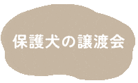 保護犬 Sticker