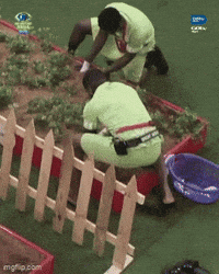 Garden S10 GIF by Big Brother Naija