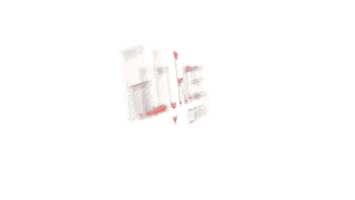 Ceará Sticker by Ruby Rose