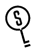 Slre Sticker by homesbysteven