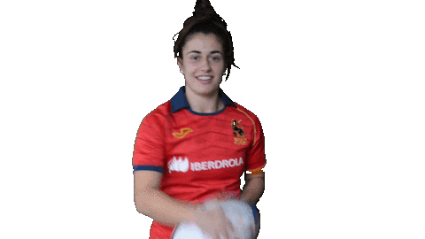 FERugby giphyupload rugby fer bimba Sticker