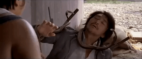 stephen chow gong fu GIF