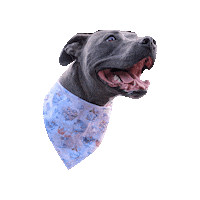 Pit Happy Dog Sticker by Geekster Pets