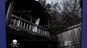 Wither Mtv GIF by Pure Noise Records