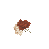 nervous youth Sticker by Shawn Mendes