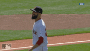 david GIF by MLB