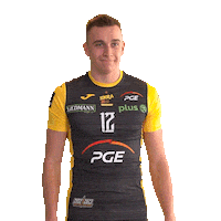 Belchatow Sticker by PGE Skra Bełchatów