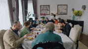 Tolga Saritas Baba GIF by Show TV