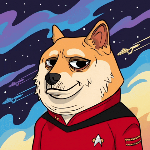 Star Trek Illustration GIF by Doge Pound