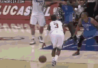 basketball bro cheezburger sike sportsbro GIF