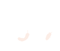 Wing Love Sticker