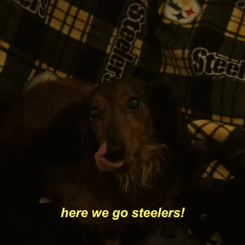 Pittsburgh Steelers Nfl GIF by Bose