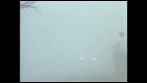 Testiercactus94 giphyupload drift rally skilled GIF
