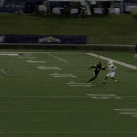 Football Catch GIF by Chattanooga Mocs