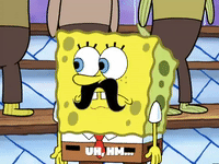 season 6 porous pockets GIF by SpongeBob SquarePants