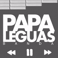 bandapapaleguas music musica brasil axe GIF