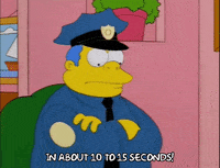 the simpsons episode 25 GIF