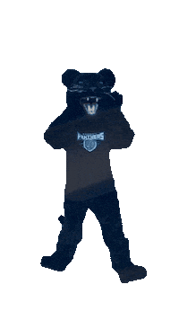Academica Sticker by Somerset Panthers