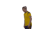 Sport Soccer Sticker by Swedish Football Association